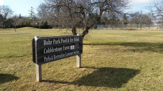 Buhr Park Outdoor Pool